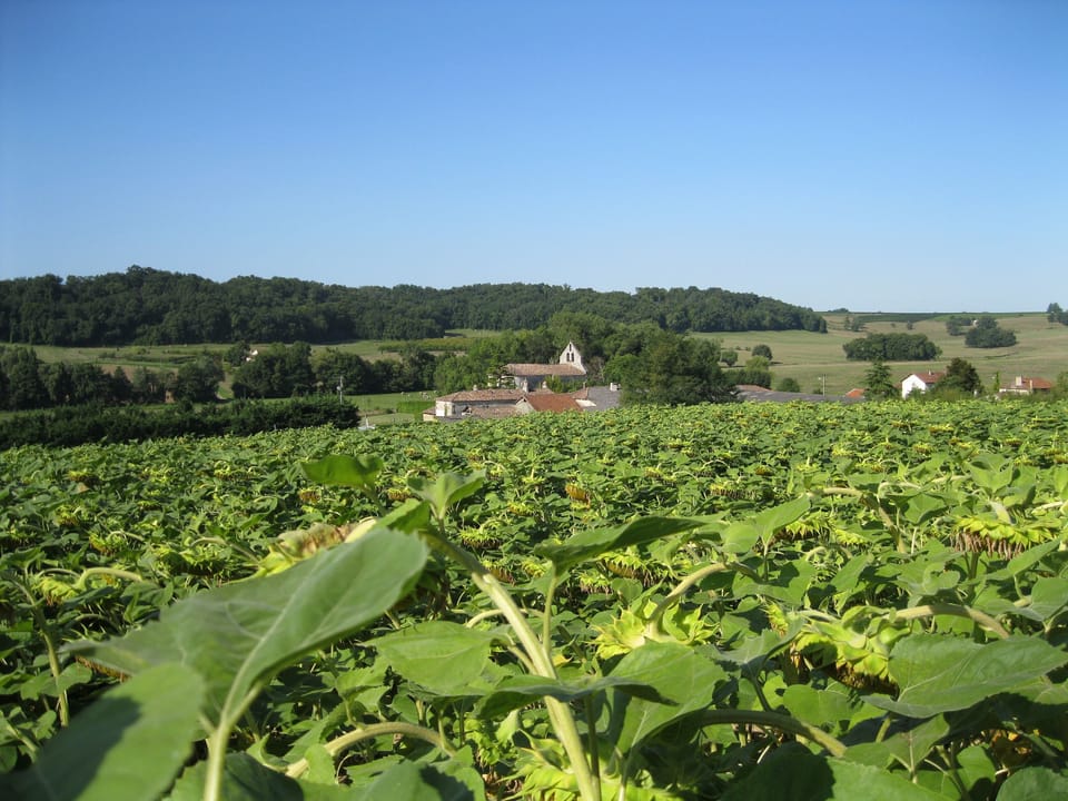 Village view