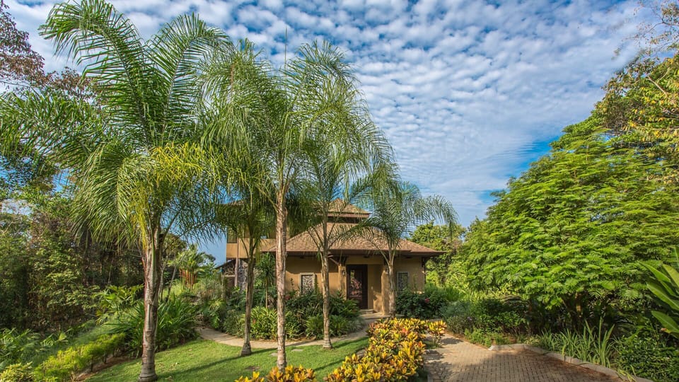 Beautifully Manicured Yard