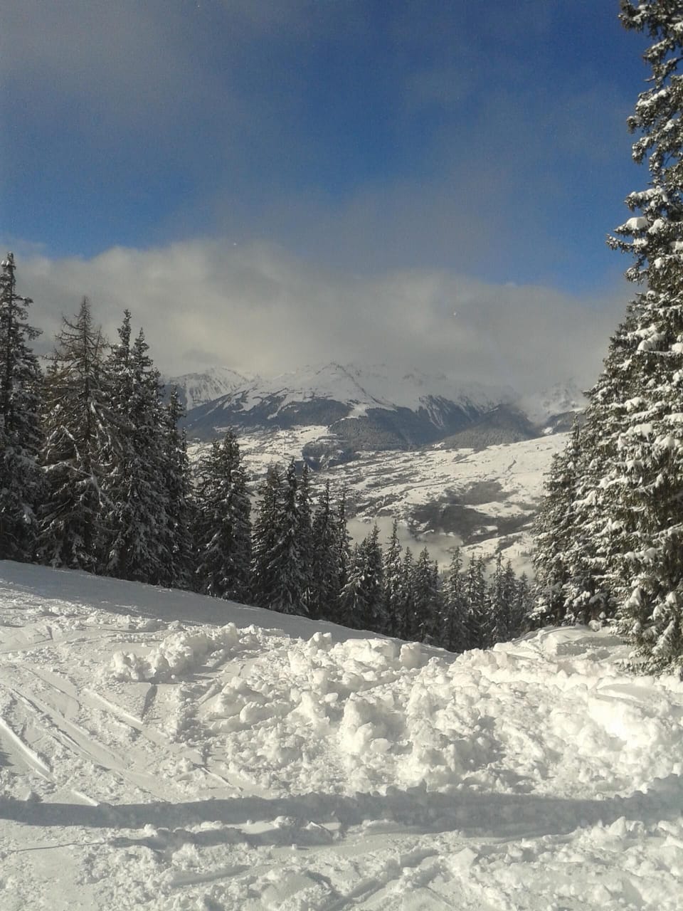 450kms of pistes