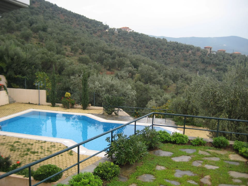 private mosaic pool