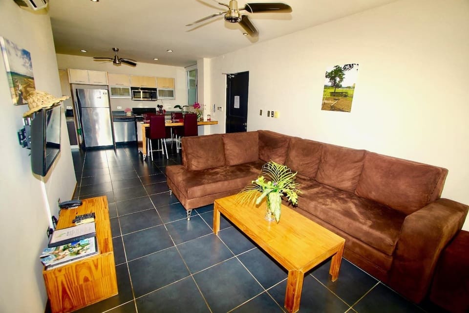 Living room, with pull out sofa sleeper.