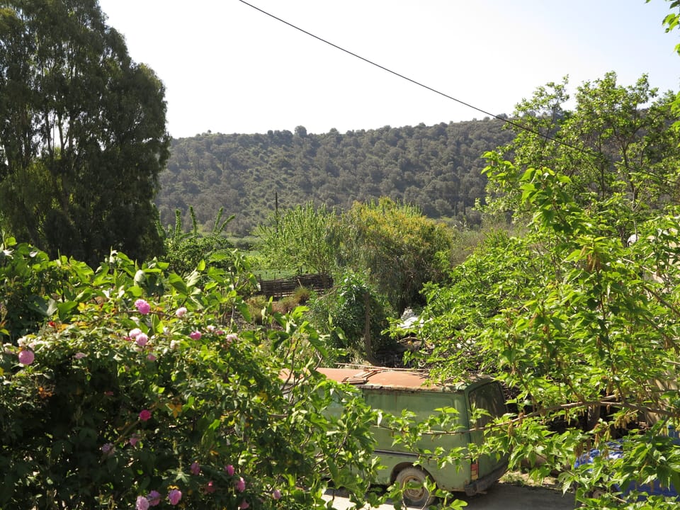 View from the terrace in spring