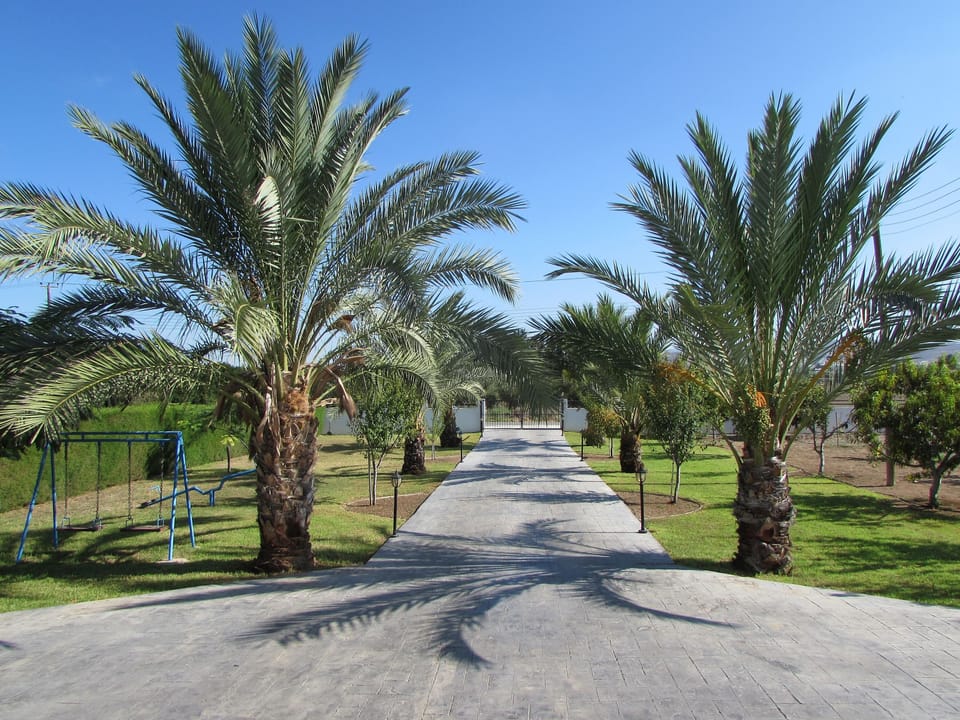 view from the entrance