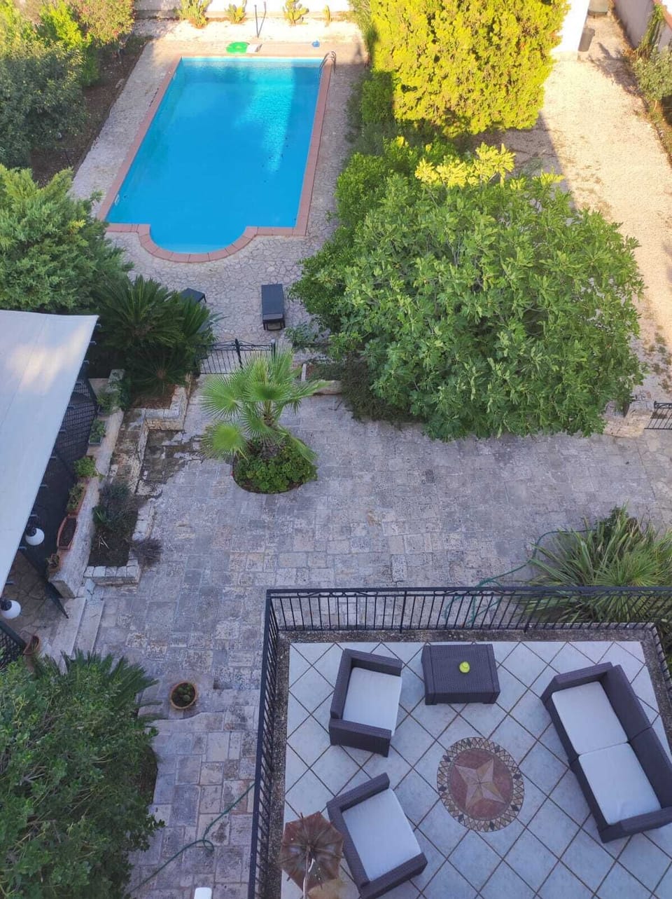 garden view from the roof