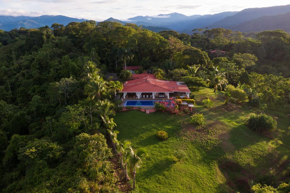 Toucan Gardens - from  above