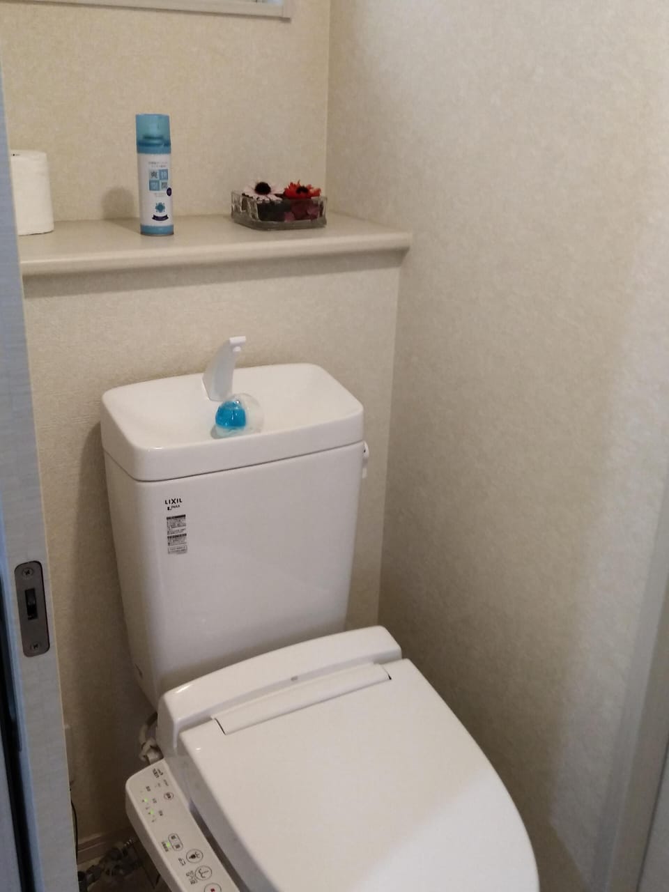 Washlet Toilet (comes up auto spray to object to clean up after used in toilet)