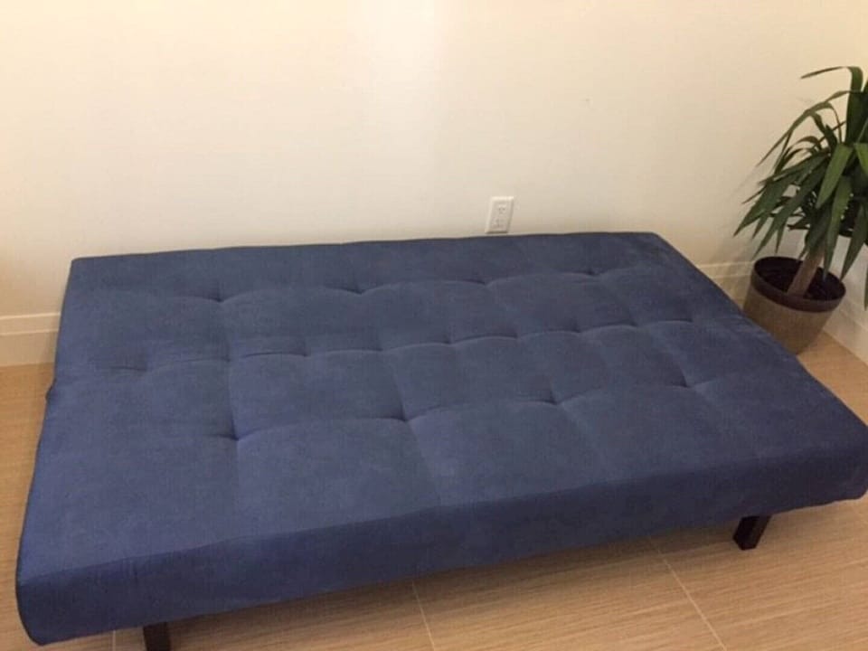 2 futon sofas in living room