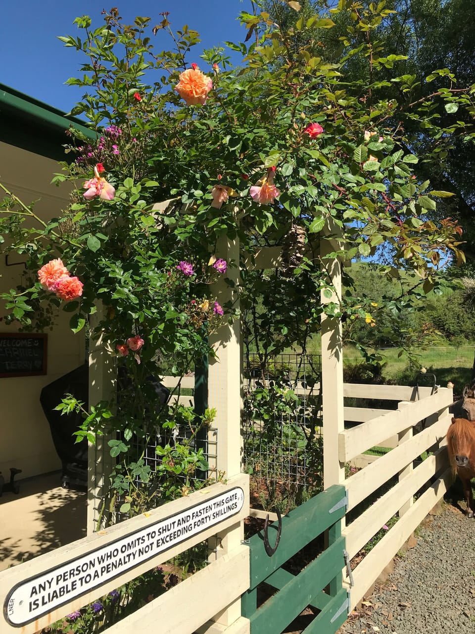 Kymmik Cottage a slice of paradise 