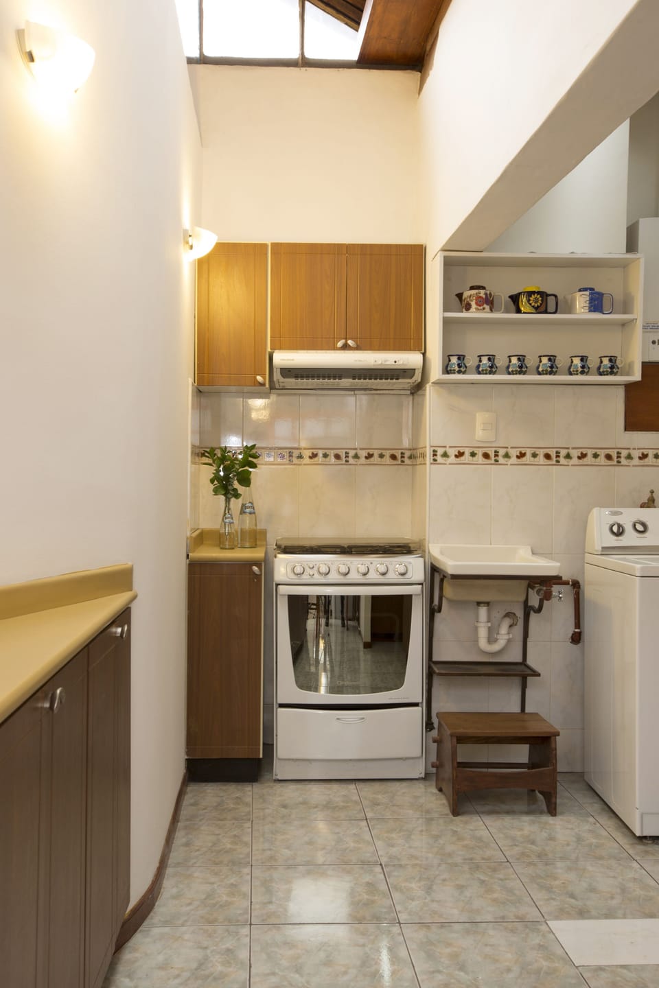 Gas stove with oven
