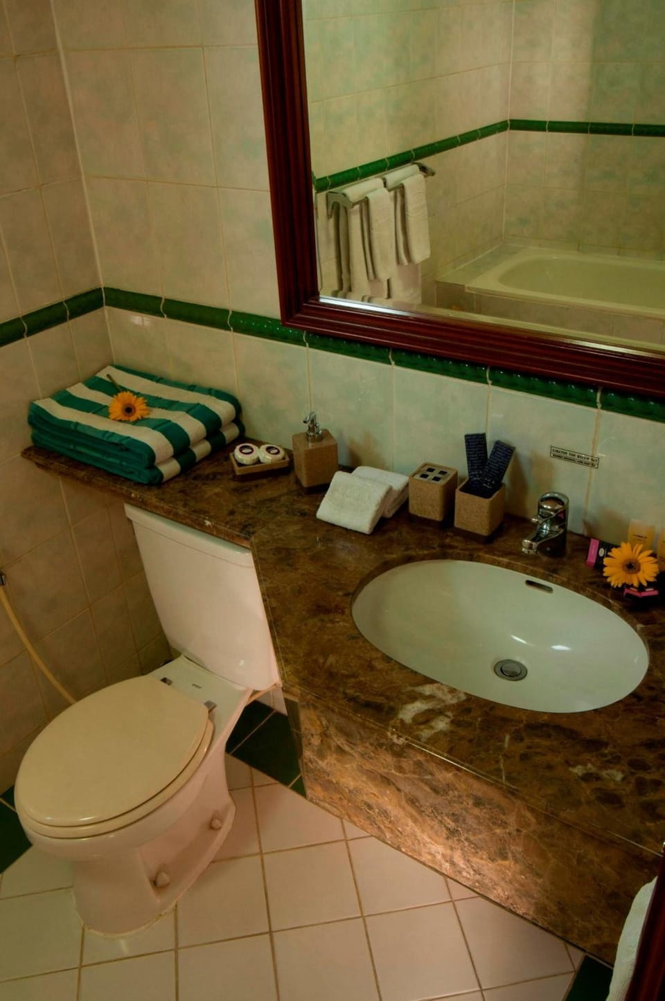 Combined shower/tub, free toiletries, bidet, towels