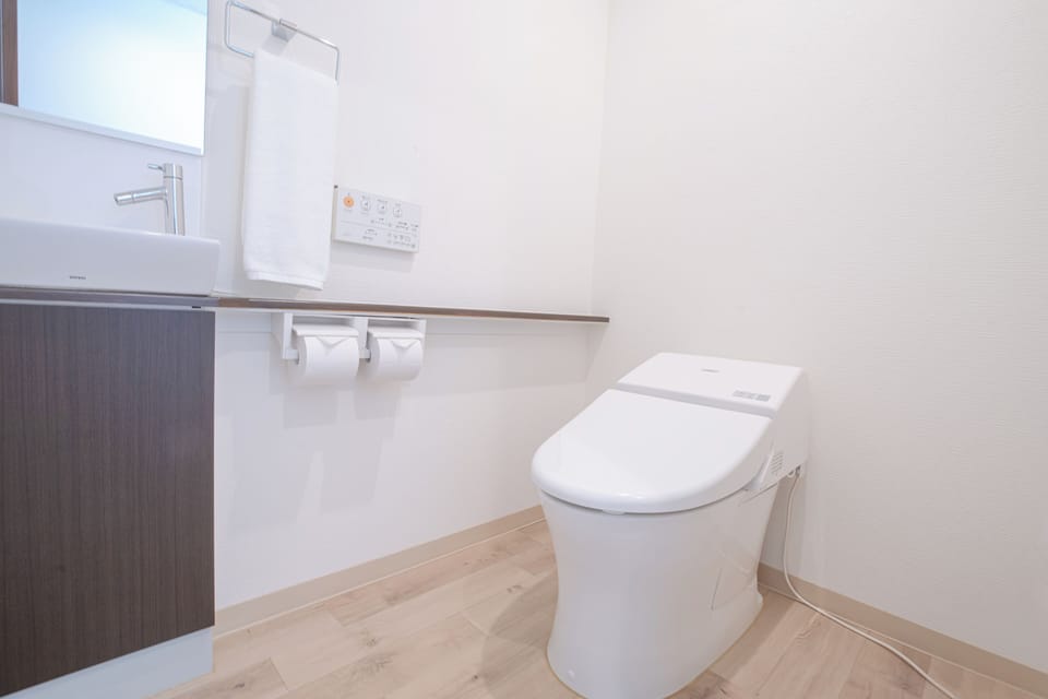 Shower, hair dryer, electronic bidet