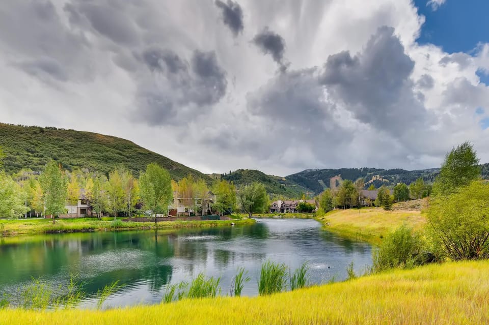 Stunning Lake and wildlife