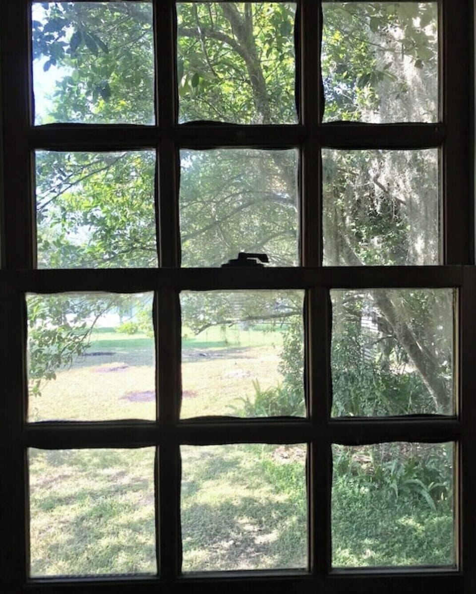 Kitchen view 🌟
