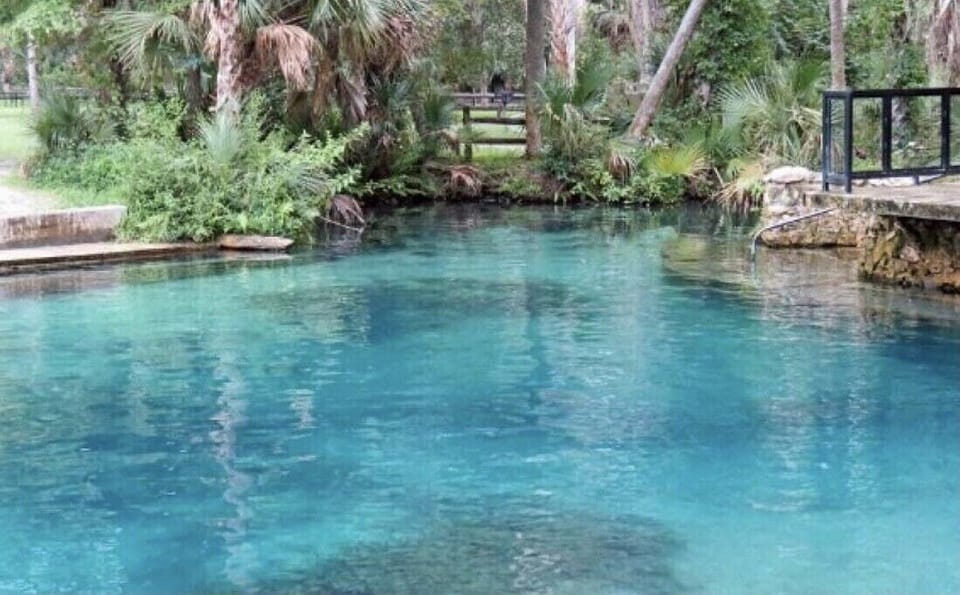 Natural Springs near by! 
