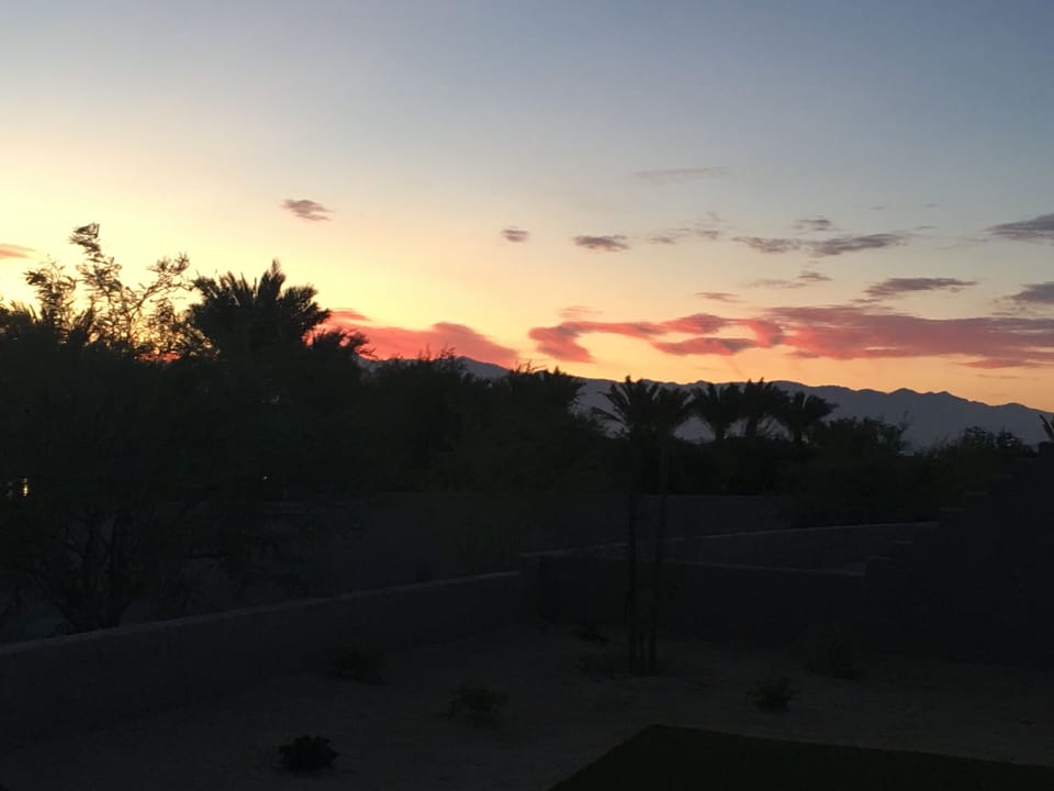 View from living room 