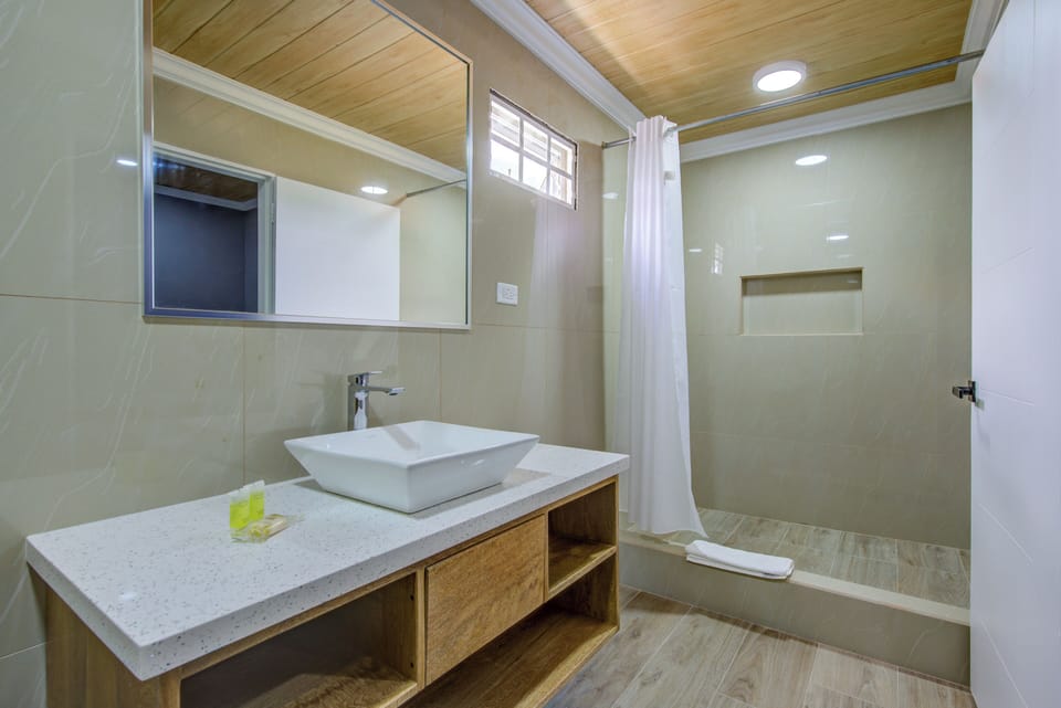 Shower, hair dryer, towels