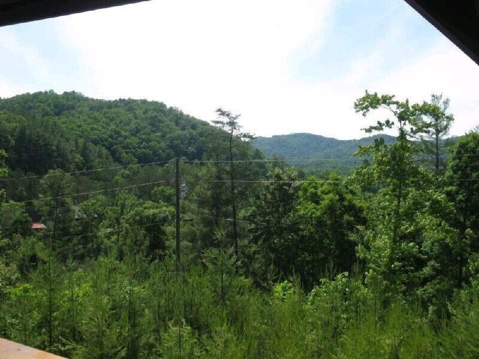 View from Deck
