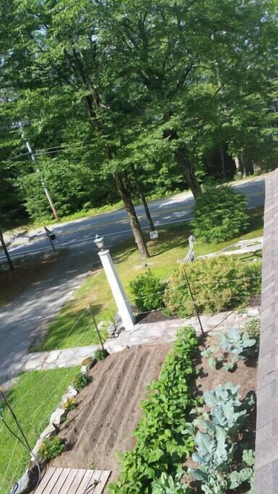 This is the driveway side of the yard. There is off street parking beside the driveway. 