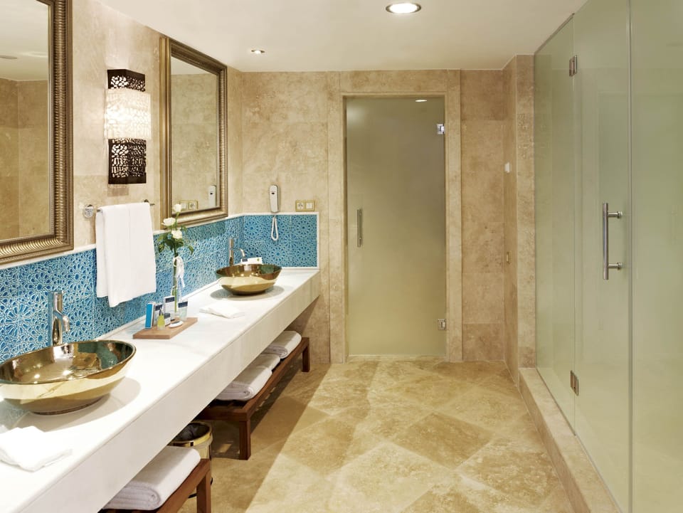 Terrace Suite | Bathroom | Shower, rainfall showerhead, free toiletries, hair dryer