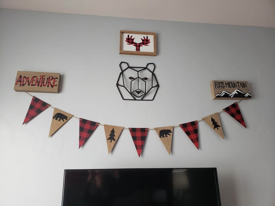 Decoration in Bunk Bedroom above smart TV