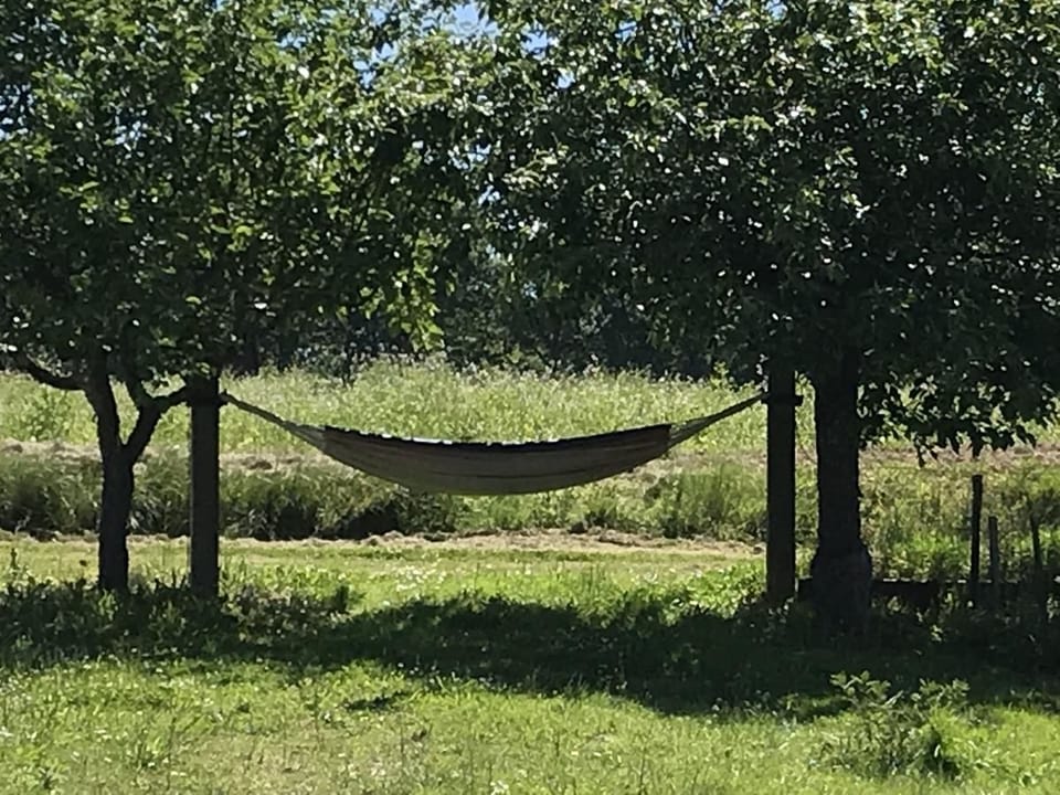 Chambres Bambou & Corail & Music Bed and Breakfast in Nouvelle-Aquitaine