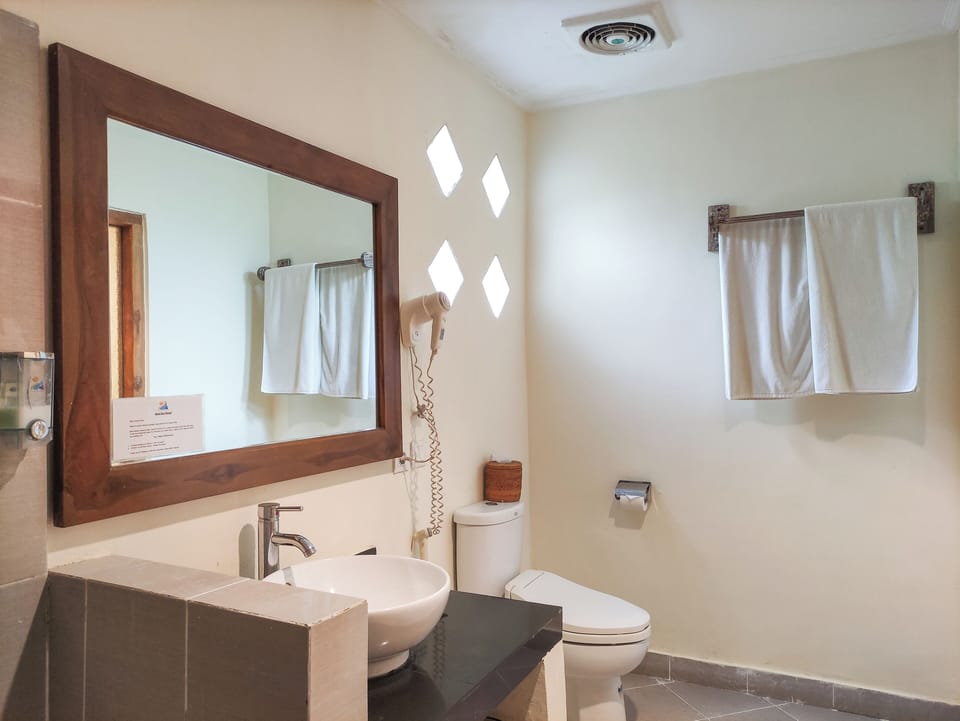 Superior Twin Room | Bathroom | Free toiletries, bidet, towels, soap