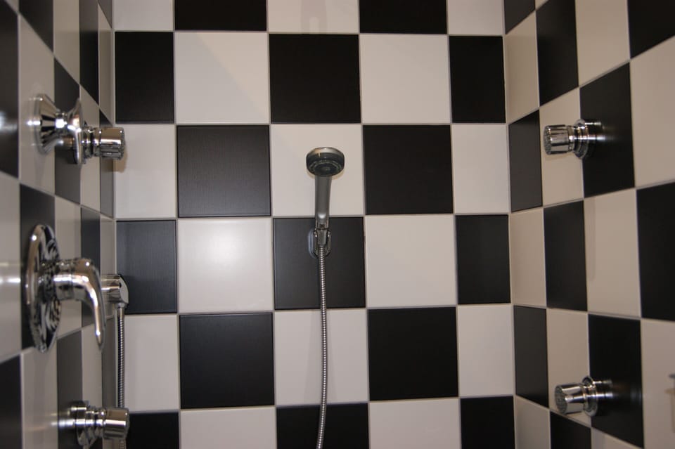 Double Room | Bathroom | Shower, hair dryer, towels