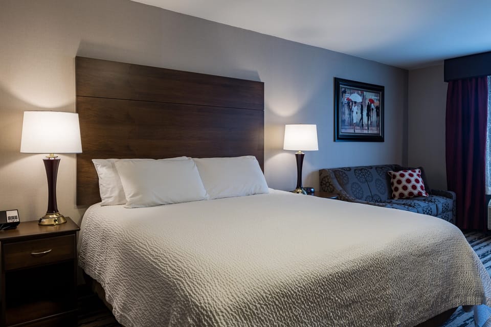 Standard Room, 1 King Bed with Sofa bed, Non Smoking (No Pets) | Desk, blackout drapes, WiFi (free), bed sheets