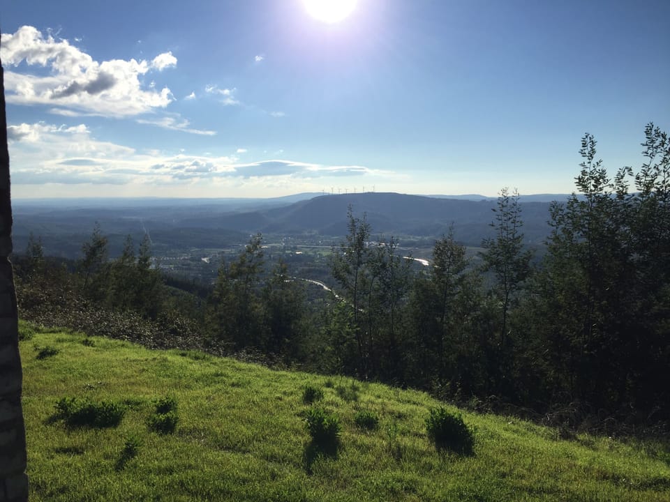 Views from near the house 