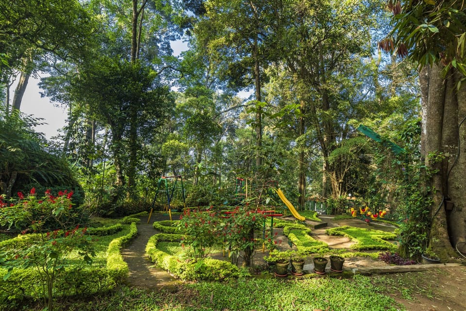 The Tall Trees Munnar Hotel in Munnar