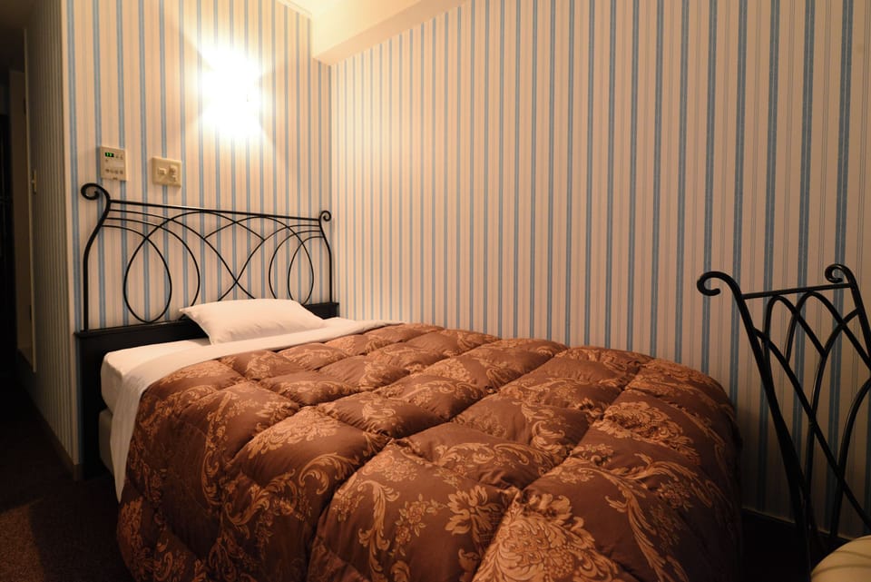 Standard Single Room, Non Smoking | Down comforters, desk, iron/ironing board, free WiFi