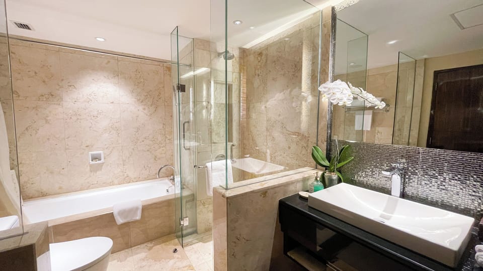 Arista Suite | Bathroom | Shower, free toiletries, hair dryer, slippers