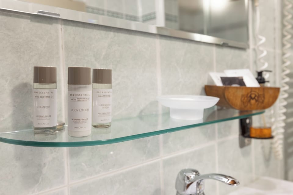 Shower, free toiletries, hair dryer, bidet