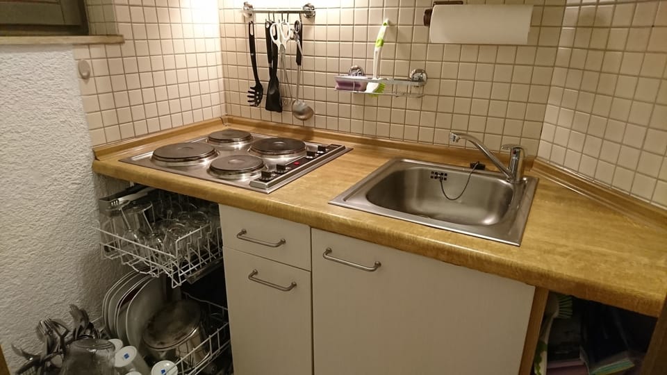 Full-size fridge, microwave, stovetop, dishwasher