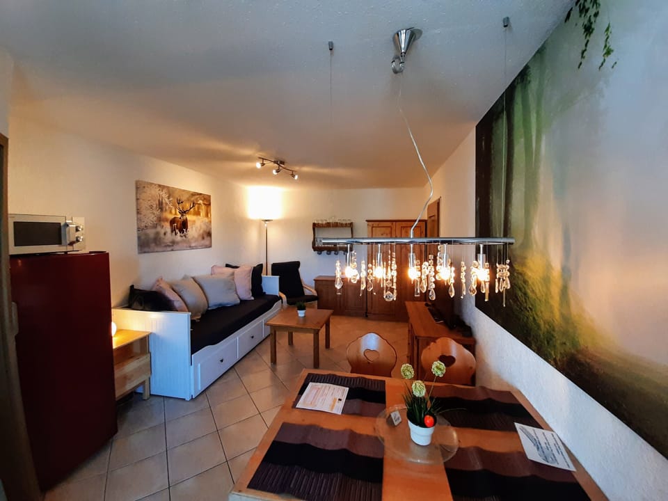 Family Apartment (including final cleaning fee 59 EUR) | Living area | 35-inch flat-screen TV with satellite channels, TV, DVD player