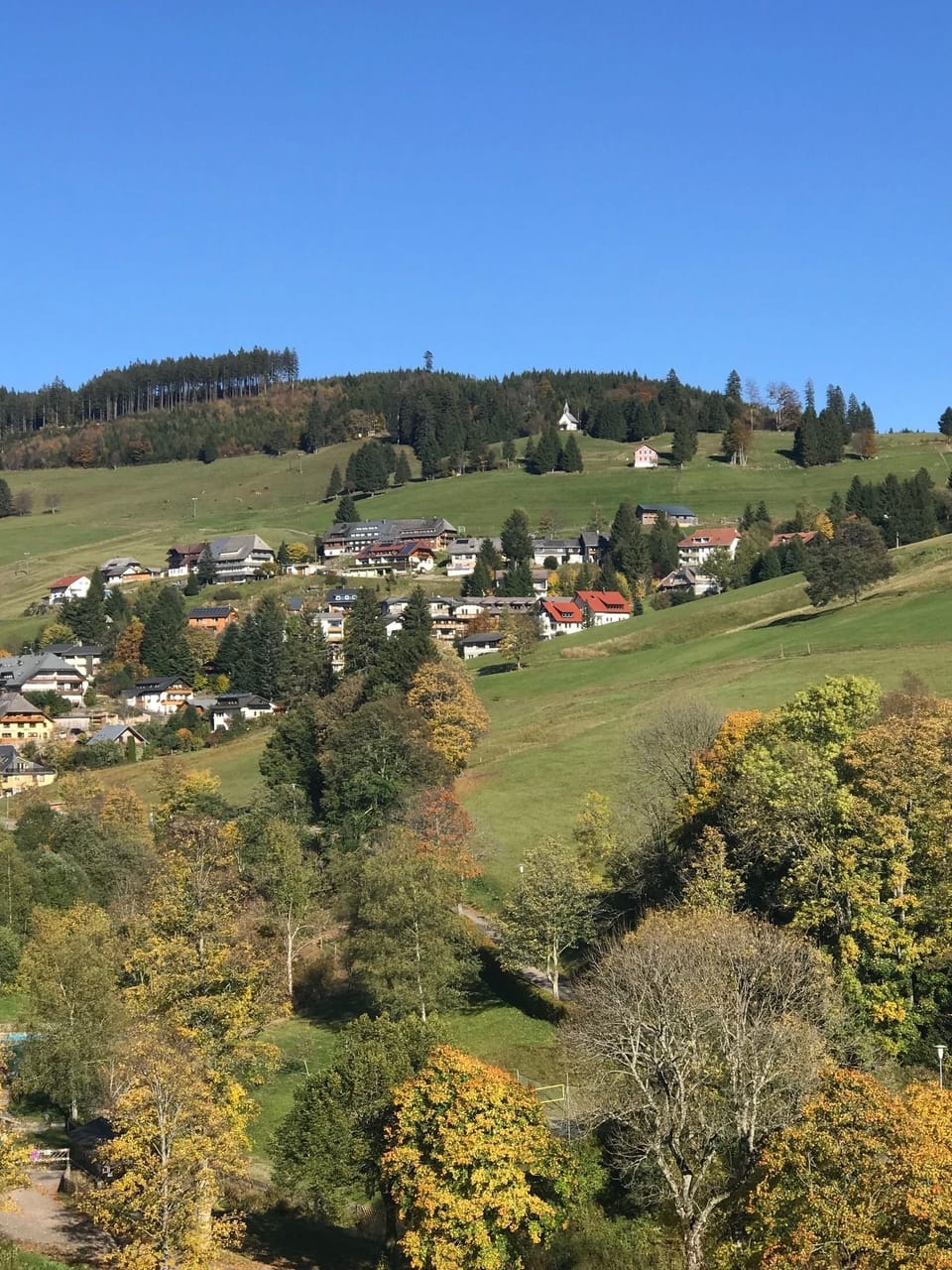 Mountain view