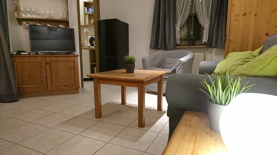 Family Apartment (including final cleaning fee 59 EUR) | Living area | 35-inch flat-screen TV with satellite channels, TV, DVD player
