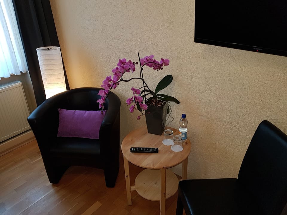 Desk, iron/ironing board, free cribs/infant beds, free WiFi