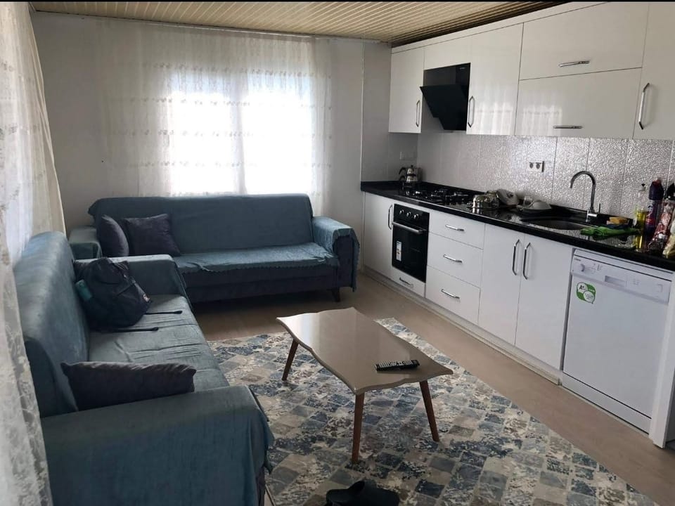 Family Apartment | Private kitchen | Full-size fridge, microwave, oven, dishwasher