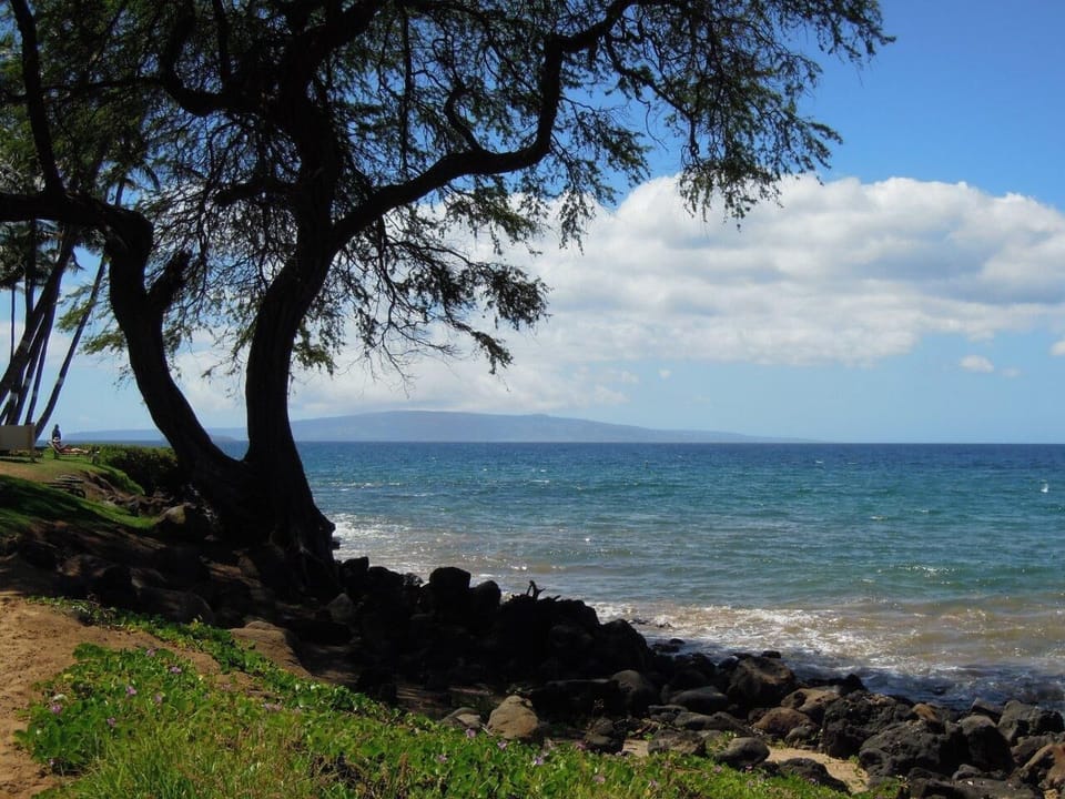 One block to Kamaole Beach Park I, snorkel site.