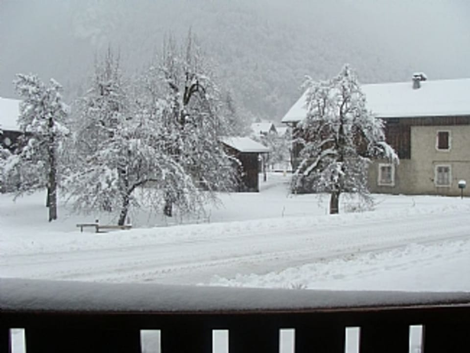 View from studio