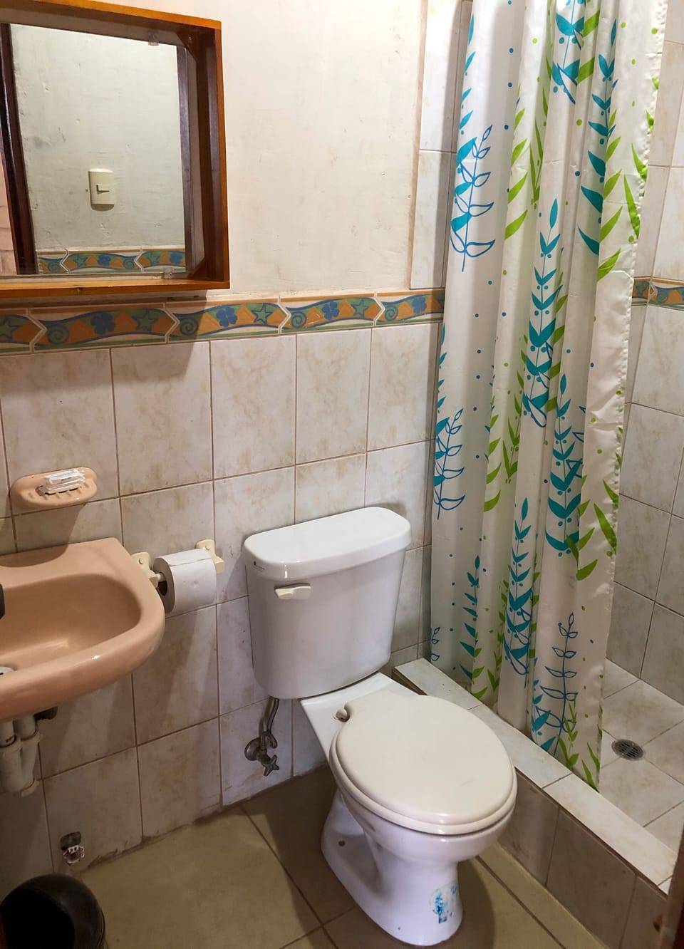 Standard Double or Twin Room, 1 Double Bed | Bathroom | Shower, towels, soap, toilet paper