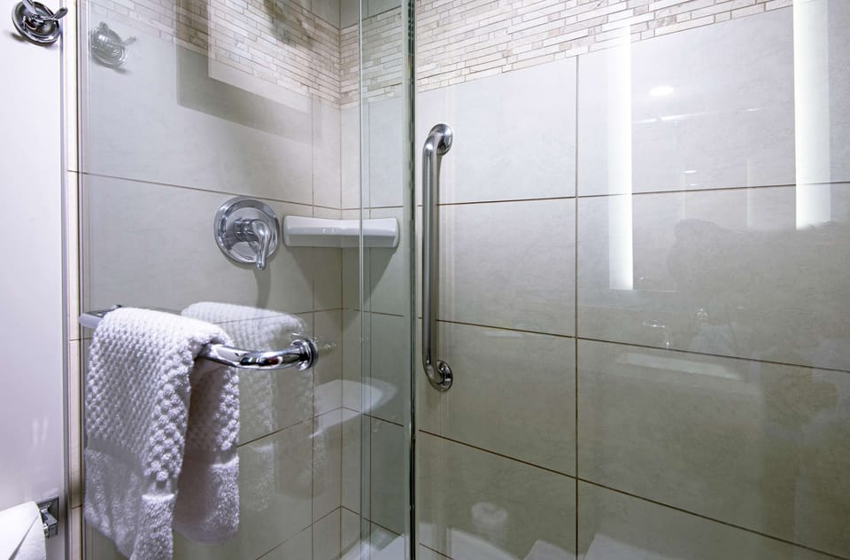 Combined shower/tub, free toiletries, hair dryer, towels
