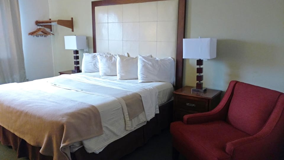 Room, 1 King Bed, Non Smoking | Desk, rollaway beds, free WiFi, bed sheets