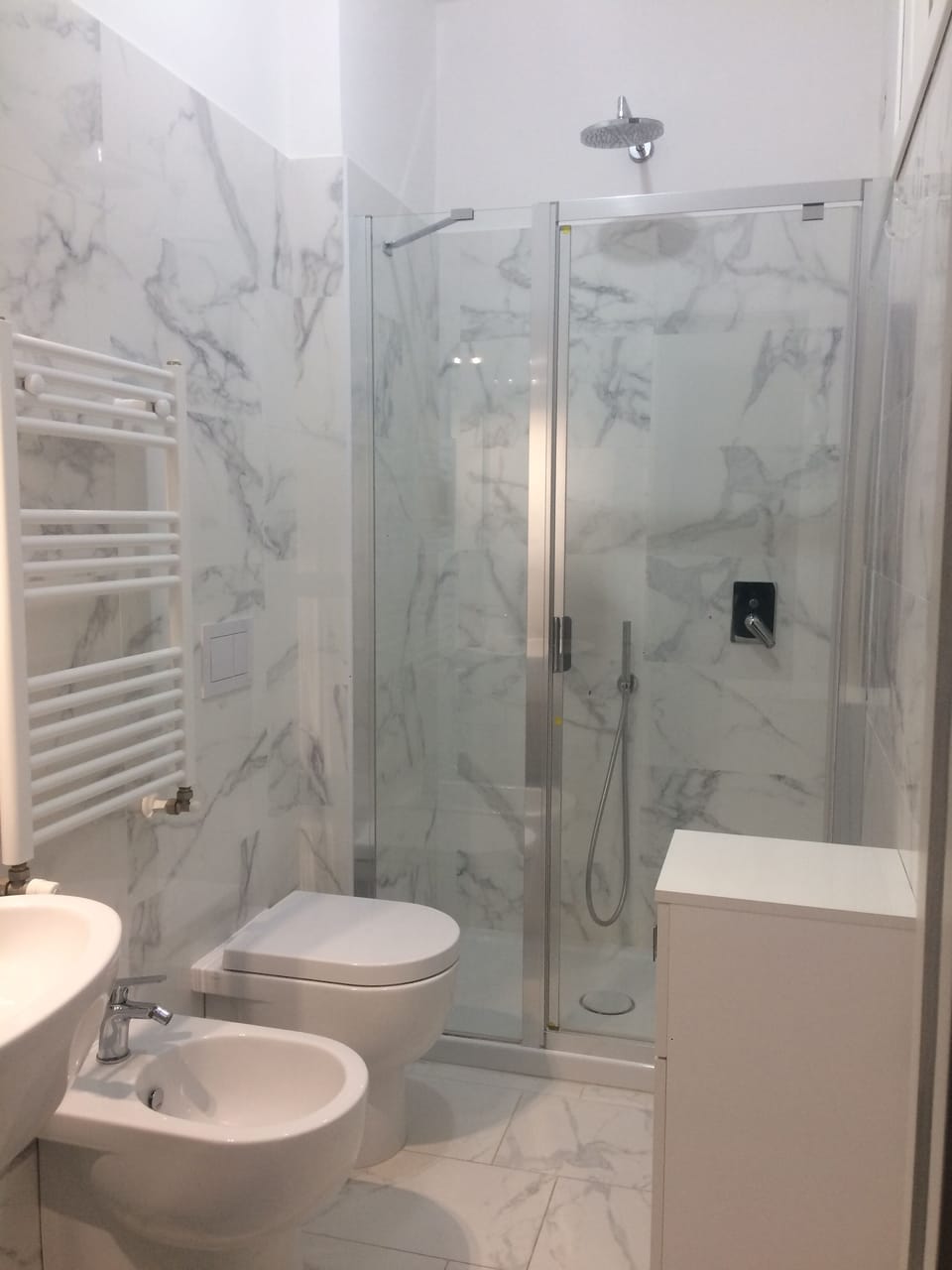 Hair dryer, bidet, towels
