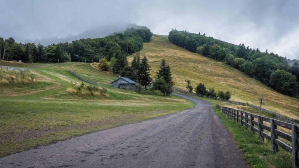 Mountain view