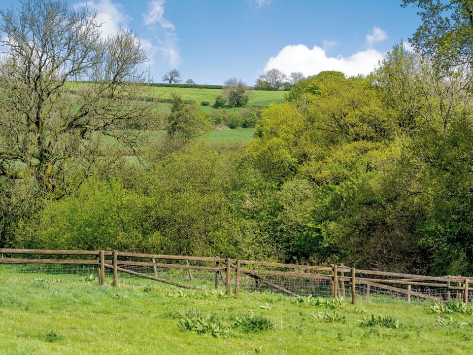 Surrounding area | Marigold, Nr Wells