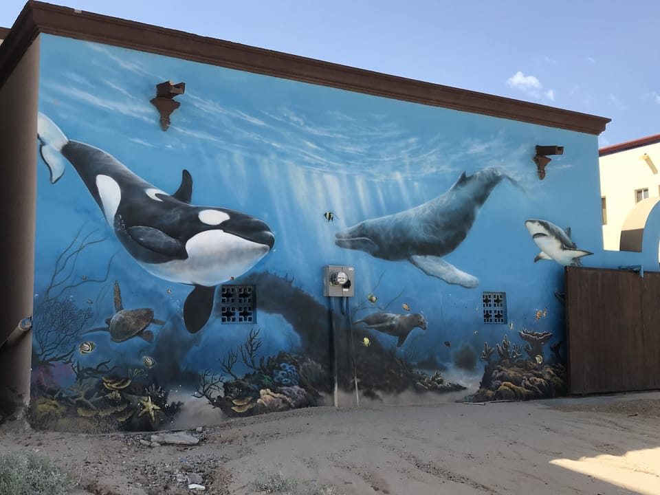 Hand painted murals on the garage