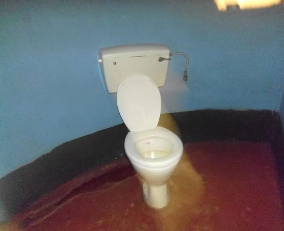 Shower, towels, soap, toilet paper