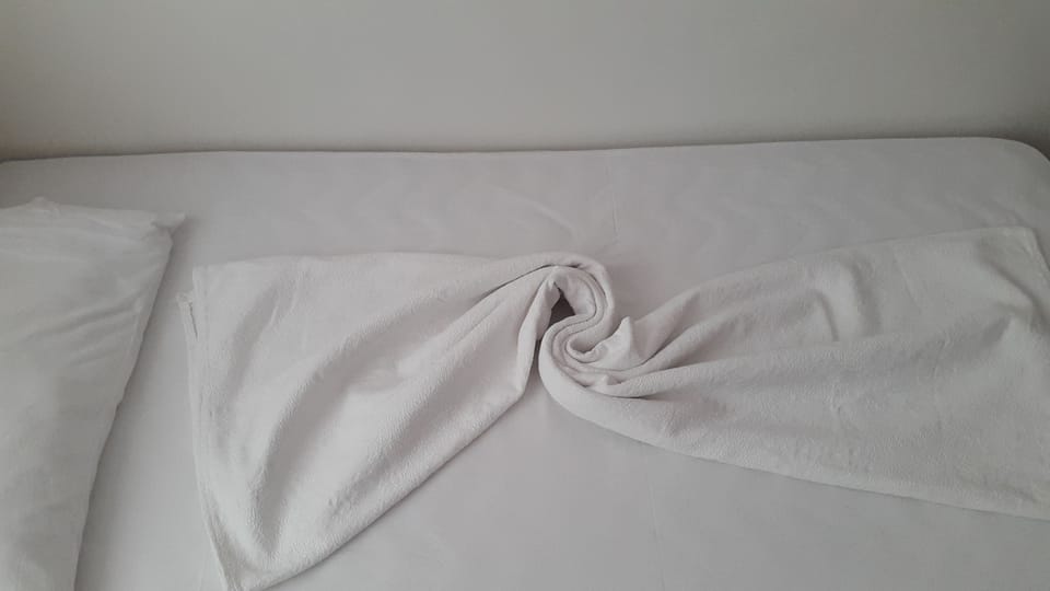 Classic Twin Room, 1 Double Bed, Smoking, City View | Premium bedding, laptop workspace, WiFi (free)